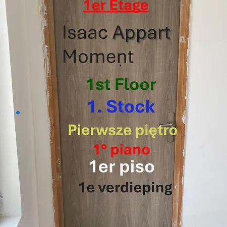 Mariya Moment * Saint-Omer (Pas-de-Calais)